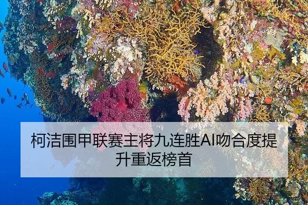 柯洁围甲联赛主将九连胜AI吻合度提升重返榜首