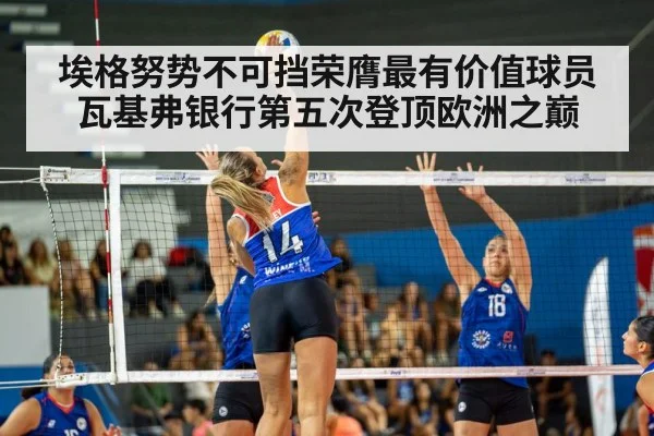 埃格努势不可挡荣膺最有价值球员 瓦基弗银行第五次登顶欧洲之巅