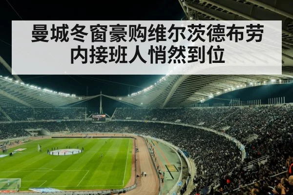 曼城冬窗豪购维尔茨德布劳内接班人悄然到位